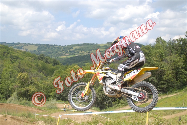 paroldo 288.jpg